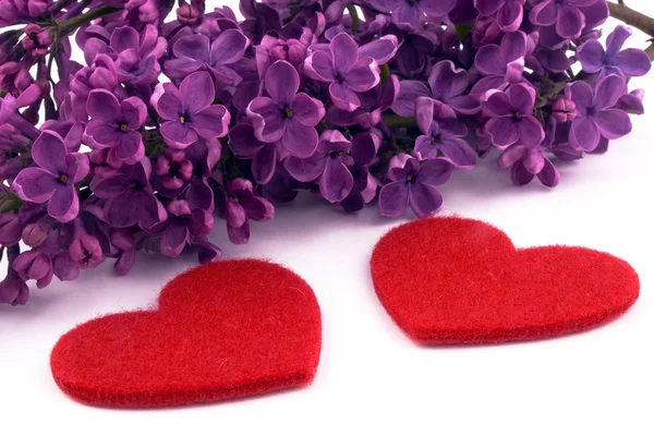 Liliac violet și inimi roșii — Fotografie, imagine de stoc