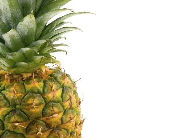 stock image Closeup pineapple