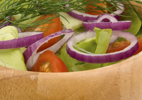 Frischer Gemüsesalat — Stockfoto