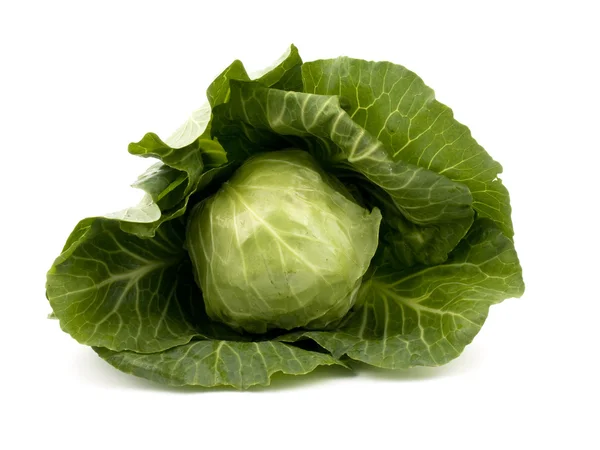 stock image Fresh cabbage