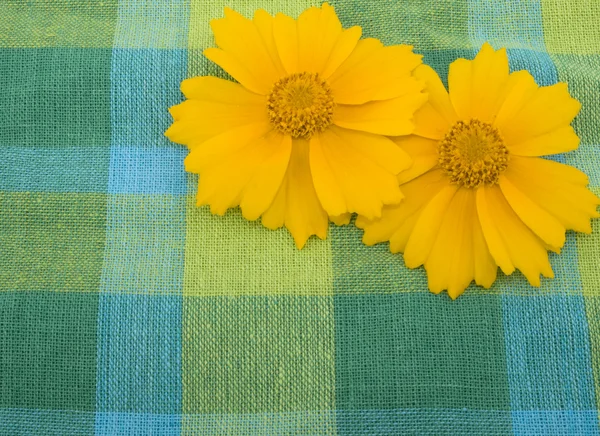 Keten kumaş ve sarı çiçek — Stok fotoğraf