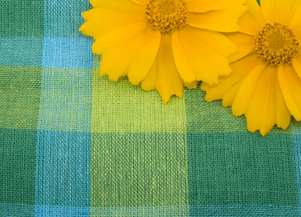Tessuto di lino e fiore giallo — Foto Stock