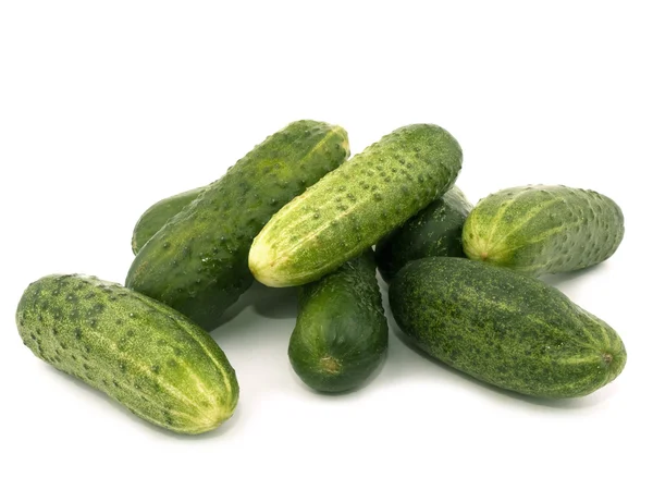 stock image Fresh cucumbers