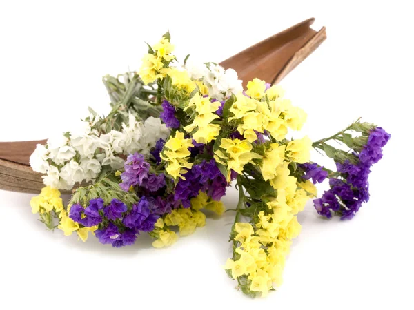 Statice flowers - Limonium Sinuatum — Stock Photo, Image