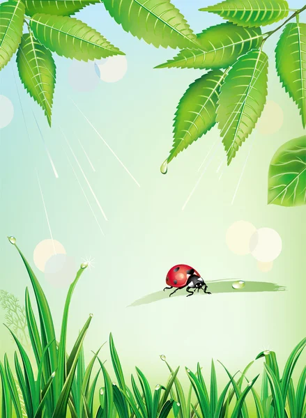 Uğur böceği ile doğal arka plan — Stok Vektör