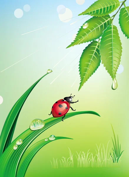 Natural background with ladybird — Stock Vector