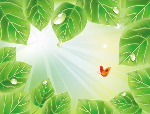 Fond vert avec des feuilles — Image vectorielle