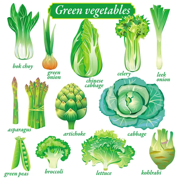 Groene groenten — Stockvector