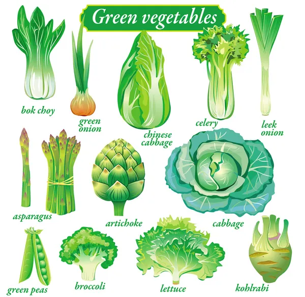 Gröna grönsaker Stockvektor