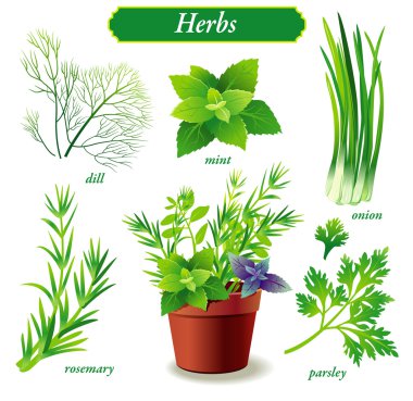Herbs clipart
