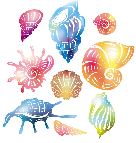 Coquille de mer colorée — Image vectorielle