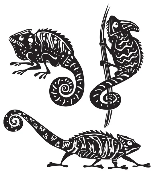Черный и белый хамелеон — стоковый вектор