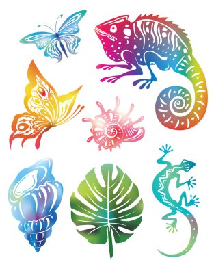 Colored objects of nature clipart