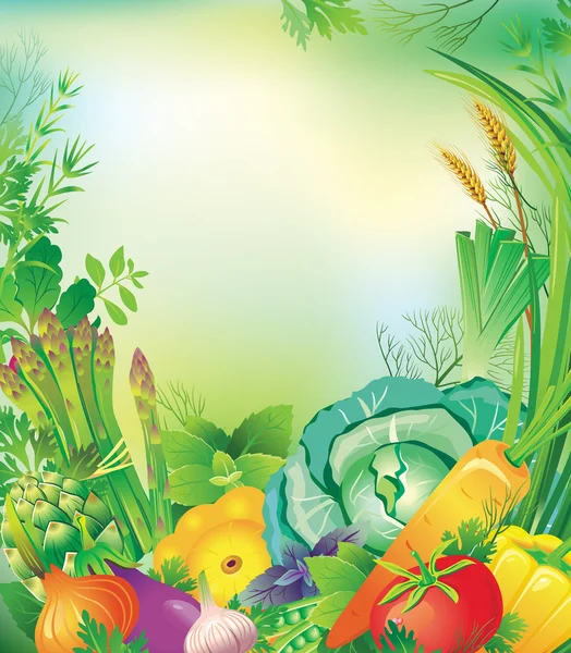 蔬菜和草药的框架 — 图库矢量图片