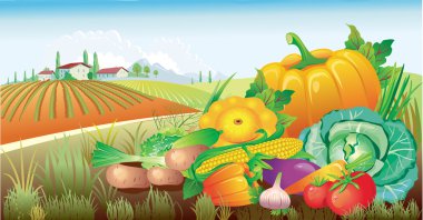 Landscape with a group of vegetables clipart