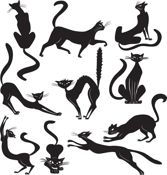 Svart katt — Stock vektor
