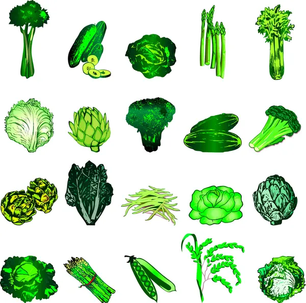 绿色蔬菜 — Stock vektor