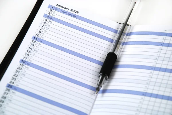 Planeador diário e caneta — Fotografia de Stock