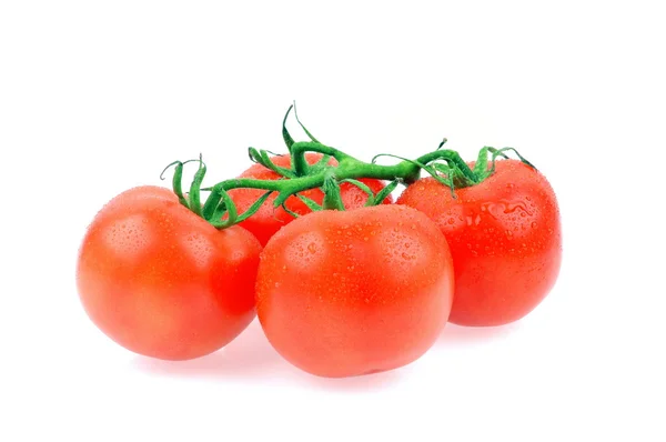 Fresh tomatoes on white Royalty Free Stock Images