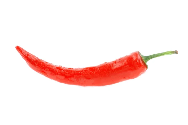 Chili paprika på vit bakgrund — Stockfoto