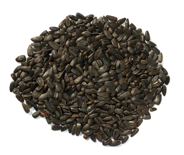 stock image Black sunflower seeds of sunflower on a white background