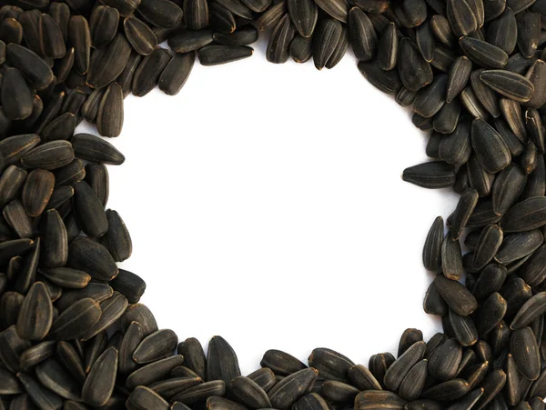 Stock image Black sunflower seeds of sunflower on a white background