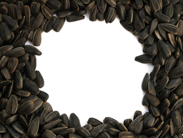 Black sunflower seeds of sunflower on a white background