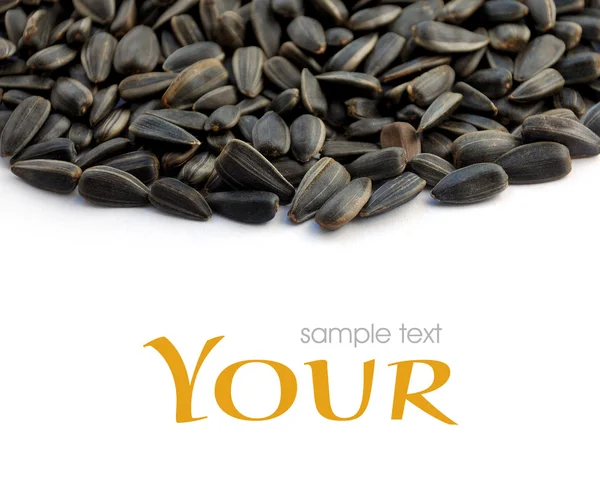 stock image Black sunflower seeds of sunflower on a white background