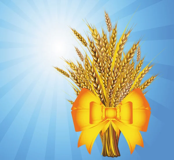 Bouquet de blé — Image vectorielle