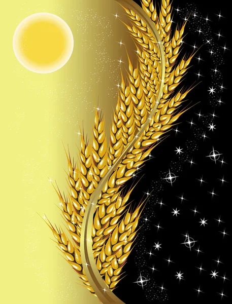 小麦白天和黑夜 — 图库矢量图片#