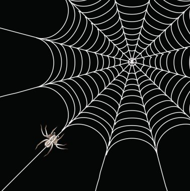 Spider and a web on a black background clipart