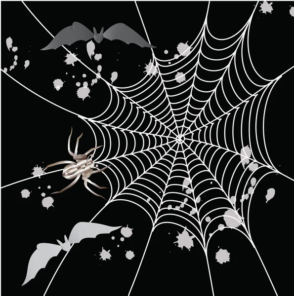 Araña, murciélago y una tela sobre un fondo negro — Foto de Stock