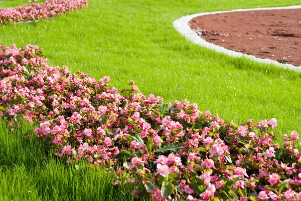 Schöner Rasen. Landschaftsplanung — Stockfoto