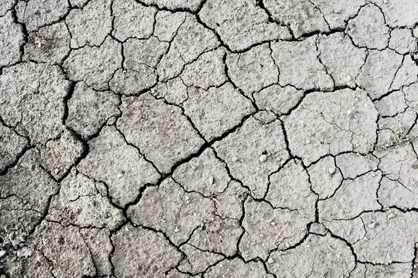 stock image Cracked soil