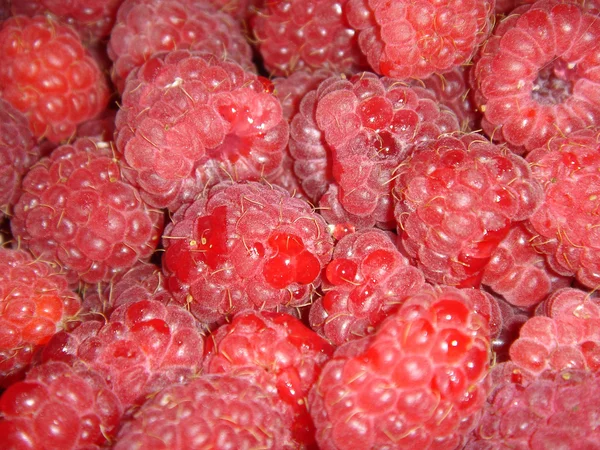 Macro view of raspberry — Stock Photo, Image