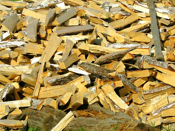 Su una legna di fuoco di erba — Foto Stock