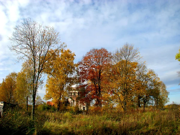Mellow осінь . — стокове фото