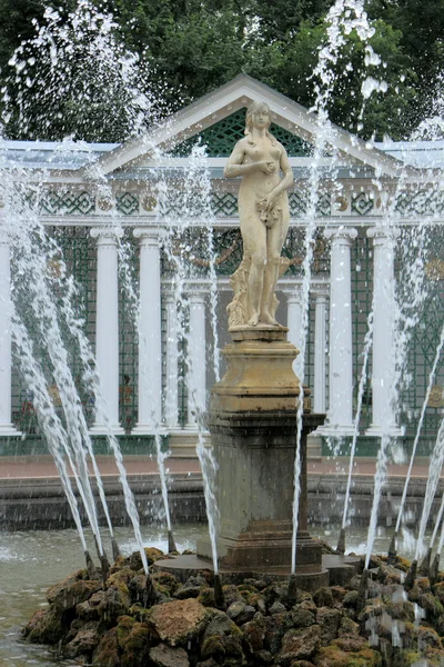 Brunnen des Petergof. — Stockfoto