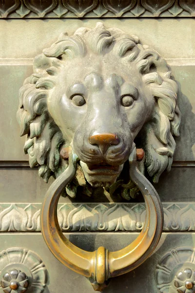 stock image Head of a lion.