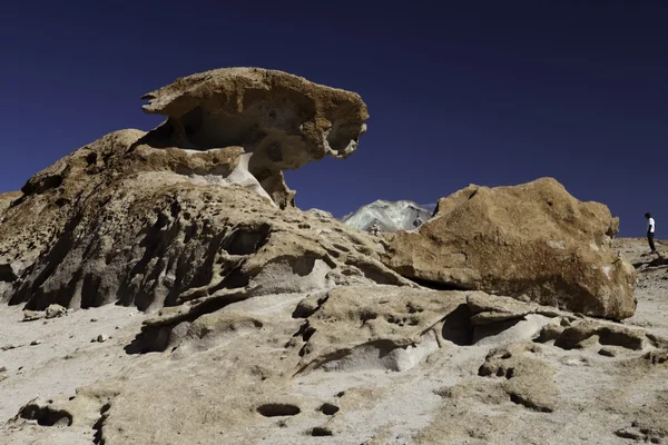 Rotsformatie stenen woestijn — Stockfoto