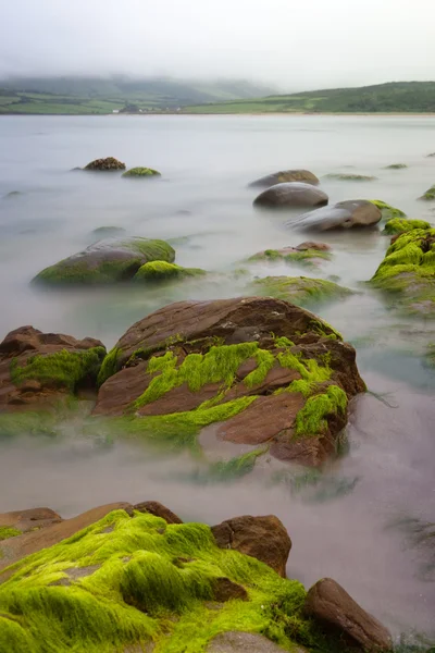 Keien bedekt met groene zeewier bading in mistige zee — Stockfoto