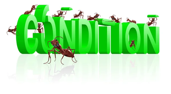 Ants building condition — Stock Photo, Image