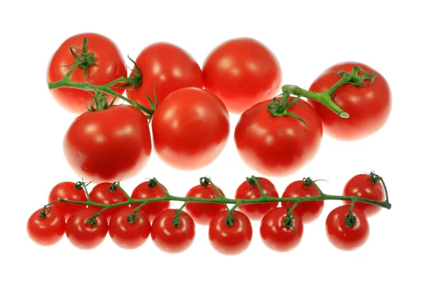 Tomaten auf weiß. — Stockfoto