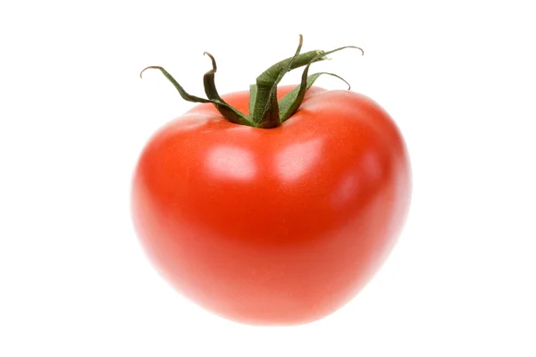 Tomate auf Weiß. — Stockfoto