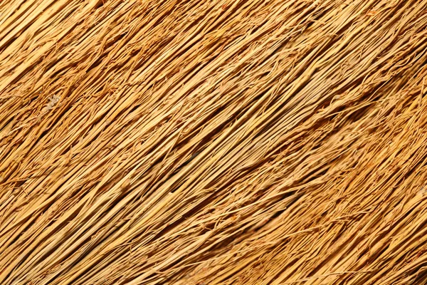 Broom texture. — Stock Photo, Image