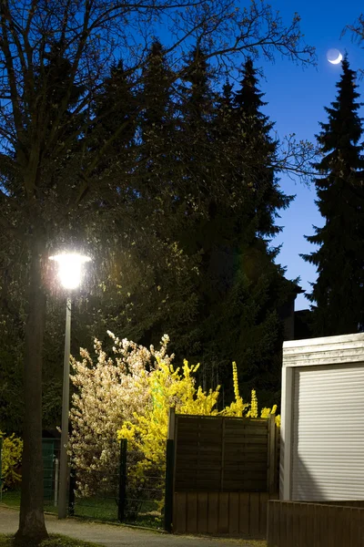 stock image Street scene at night in spring