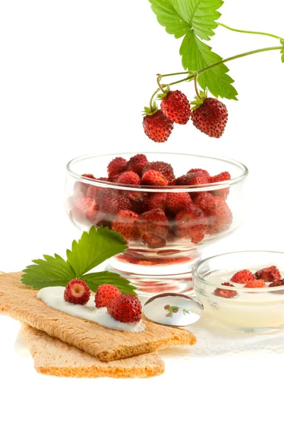 Pan crujiente y fresas silvestres . — Foto de Stock