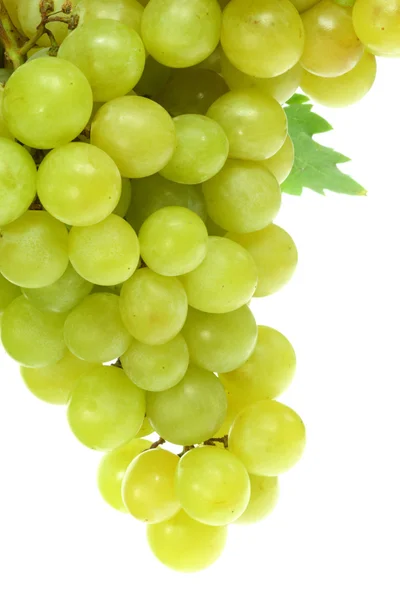 Raisins verts sur blanc . — Photo