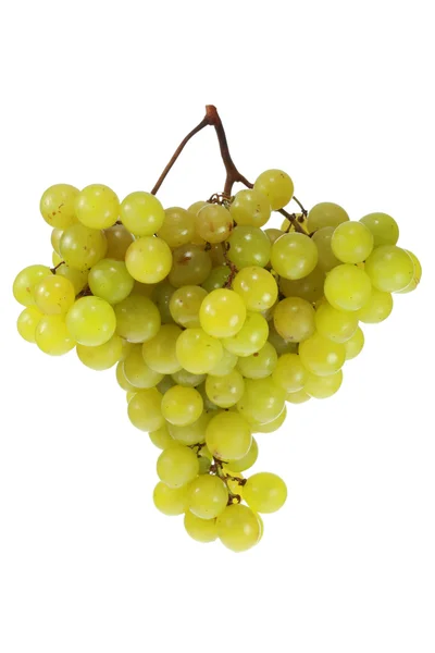 Green grapes. — Stock Photo, Image