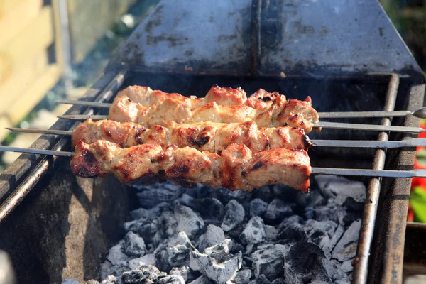 Shish Kebab 2.. — Photo